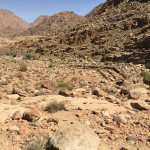 Plateau of 70 elders