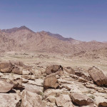 Real Mt. Sinai